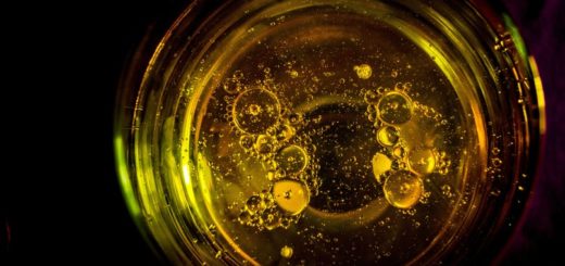 Guide to Cannabis Oil Extractors