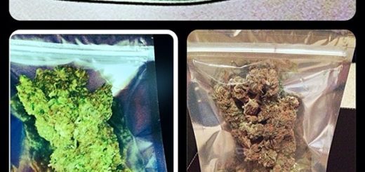 Smell-Proof Bags To Store Cannabis