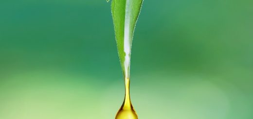 What is CBD Oil Used for